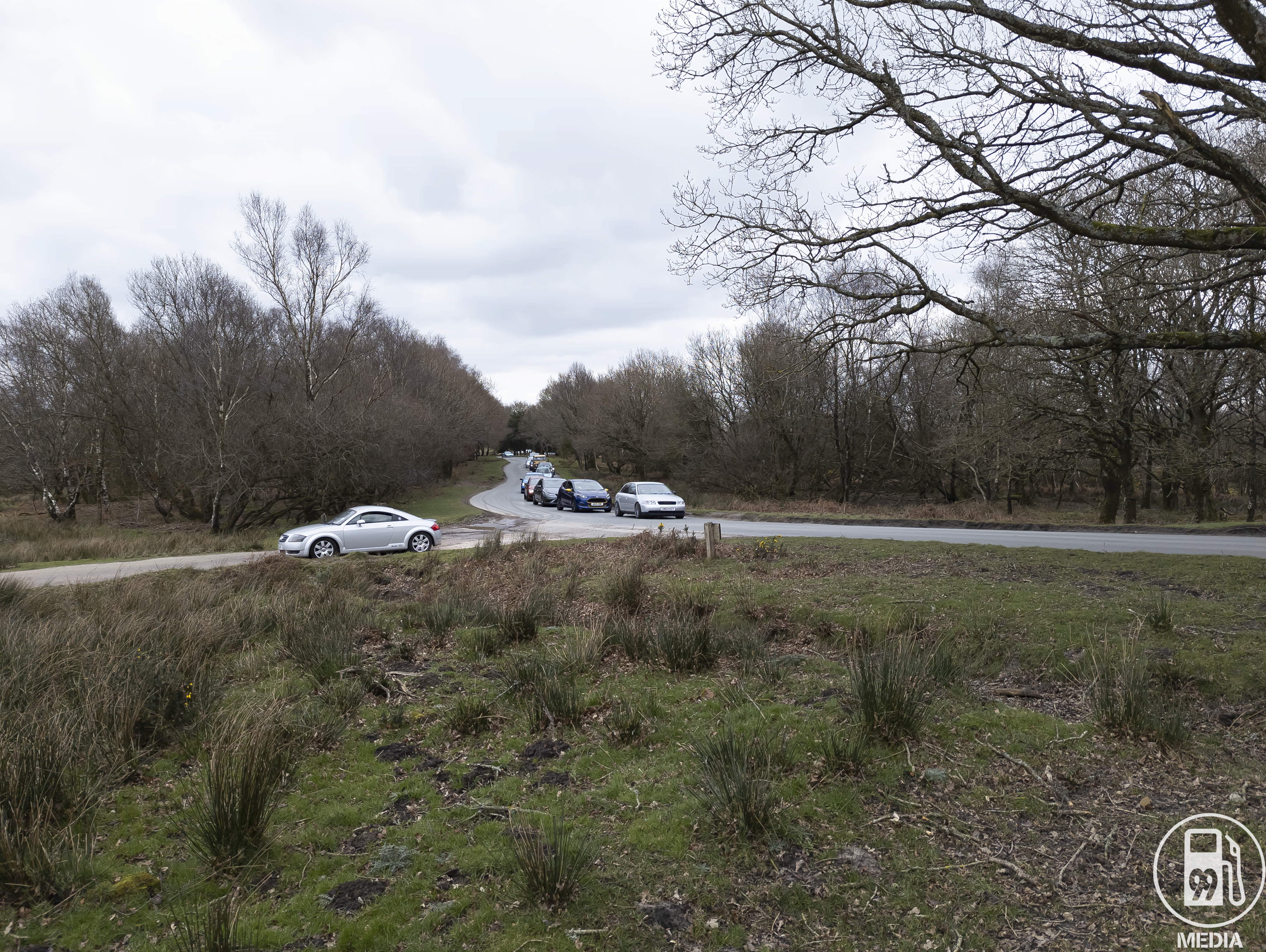 PXL 20220306 130334494