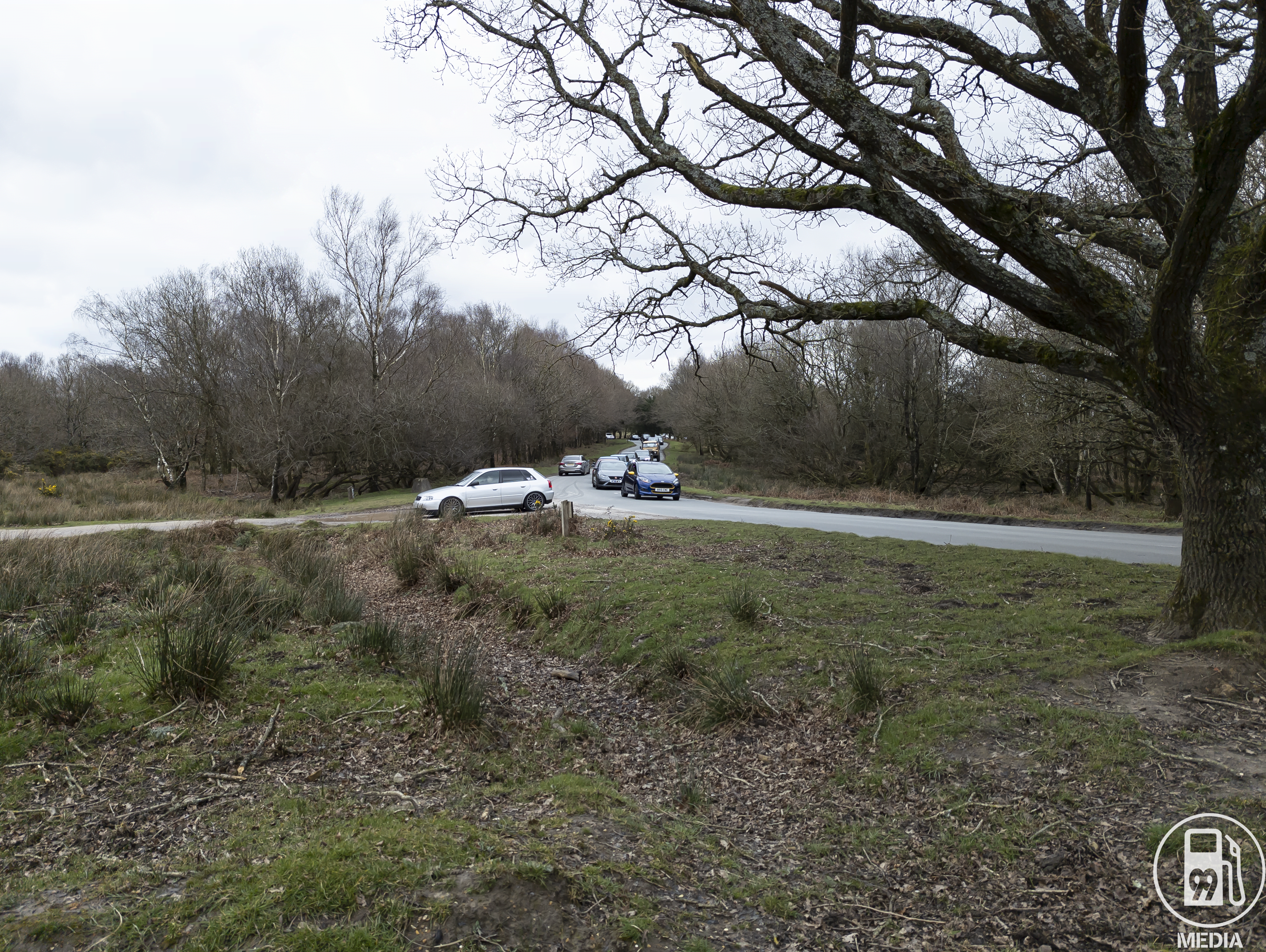 PXL 20220306 130344304